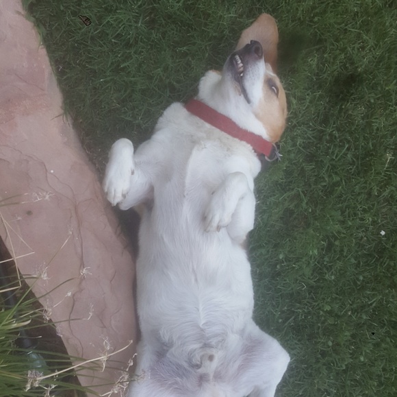 Meet your Posher, Mike - Picture 4 of 16